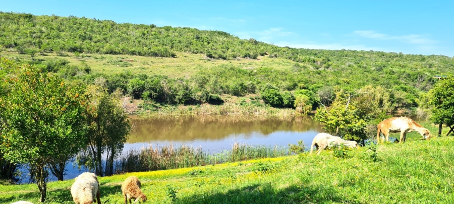 Commercial Property for Sale in Kwelera Eastern Cape